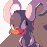2024 houndoom pokemon // 910x910 // 52KB
