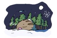 2019 pokemon swinub // 365x241 // 12KB