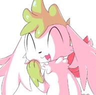 2023 pokemon shaymin // 1167x1150 // 360KB