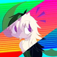 2024 absol pokemon // 946x946 // 383KB