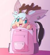 2021 backpack furry lynsona // 828x918 // 110KB