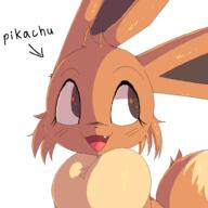 2025 eevee pokemon // 1000x1000 // 57KB