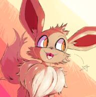 2024 eevee pokemon // 920x924 // 205KB