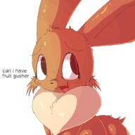 2025 eevee pokemon // 1000x1000 // 65KB