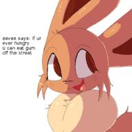 2025 eevee pokemon // 1000x1000 // 55KB