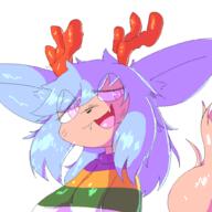 2024 furry lynsona sweater // 1000x1000 // 75KB