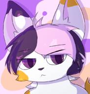 2022 cat furry // 980x1024 // 125KB