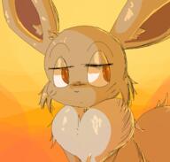2024 eevee pokemon // 943x899 // 85KB