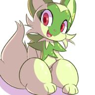 2022 pokemon sprigatito // 1000x1000 // 64KB