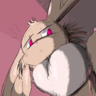 2024 eevee pokemon // 977x977 // 139KB