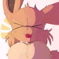 2025 eevee pokemon // 1000x1000 // 79KB