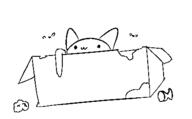2019 cat // 425x264 // 6.3KB