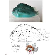2022 dm4uz3 lumpfish // 2640x2624 // 1.0MB
