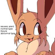 2025 eevee pokemon // 1000x1000 // 59KB